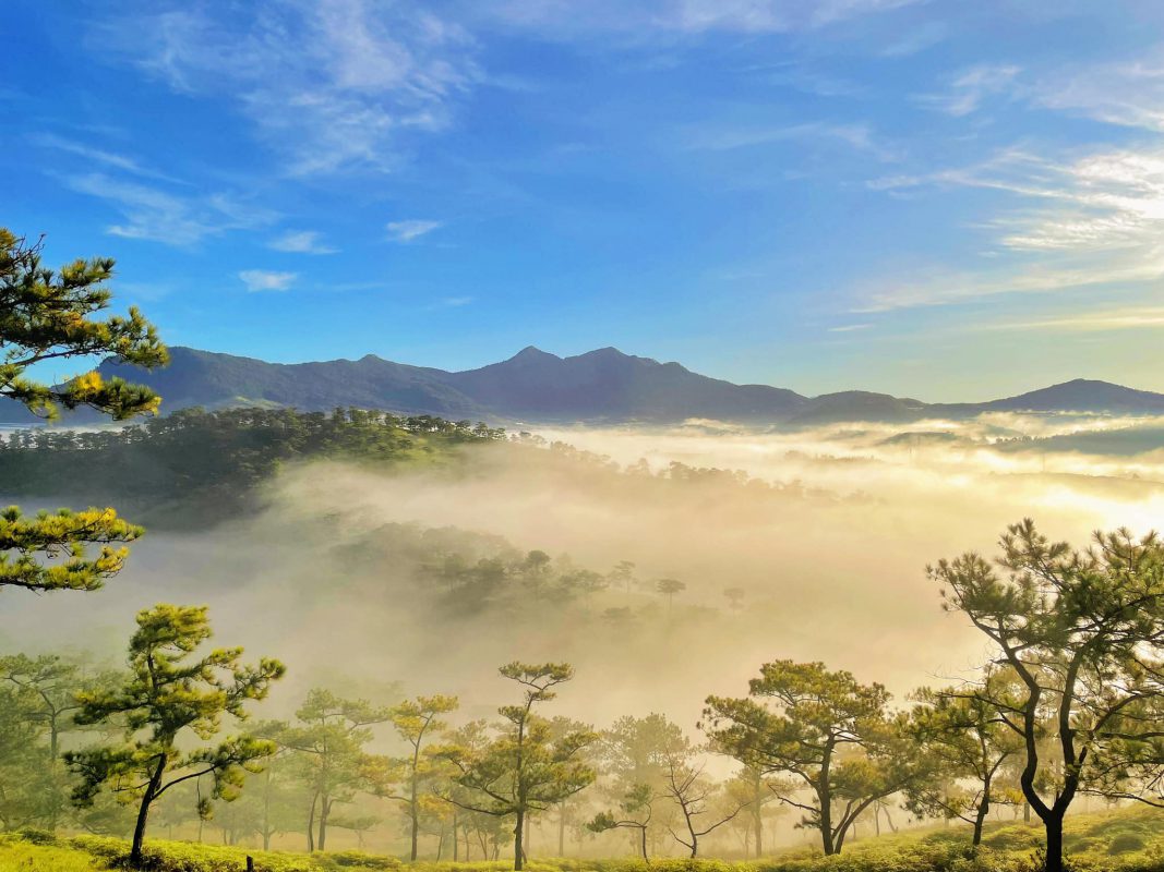 Tour Đà Lạt